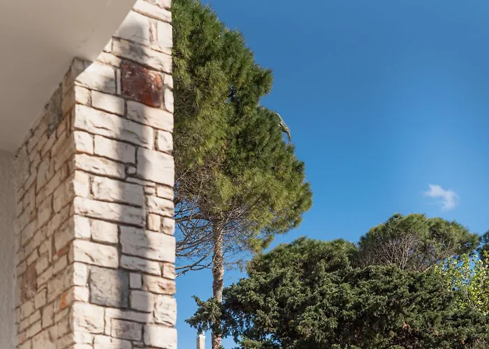 Le2suites アパート